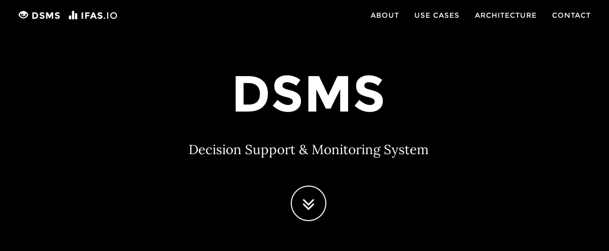 DSMS: Decision Support Monitoring Systems