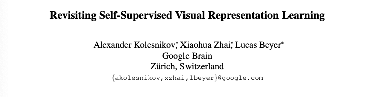 Self-supervised visual learning- Kolesnikov-review paper